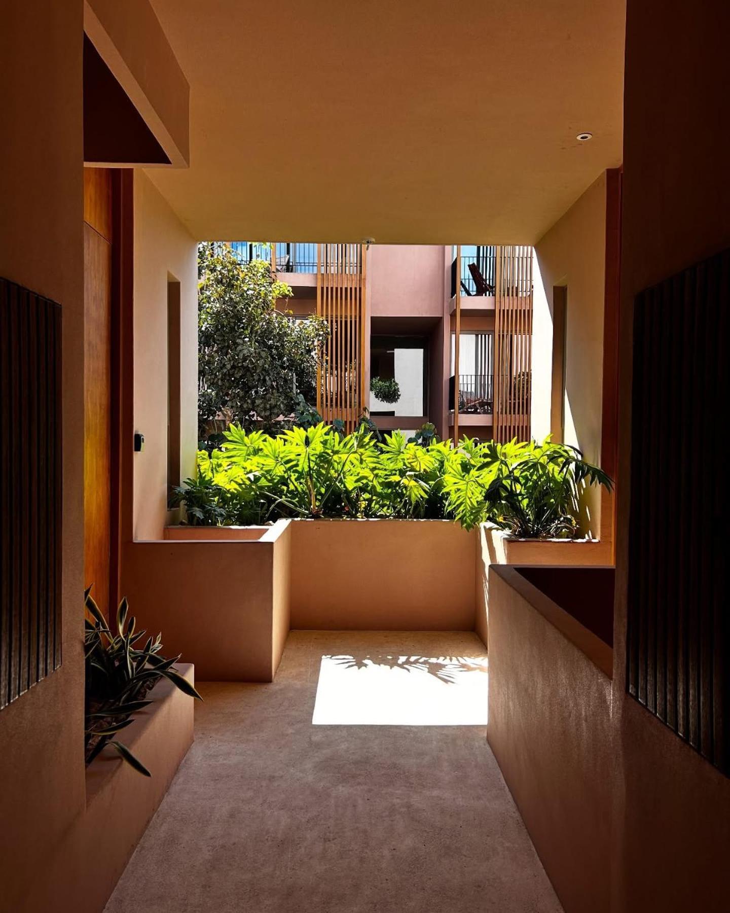 Apartment Jungle Loft Bike Included