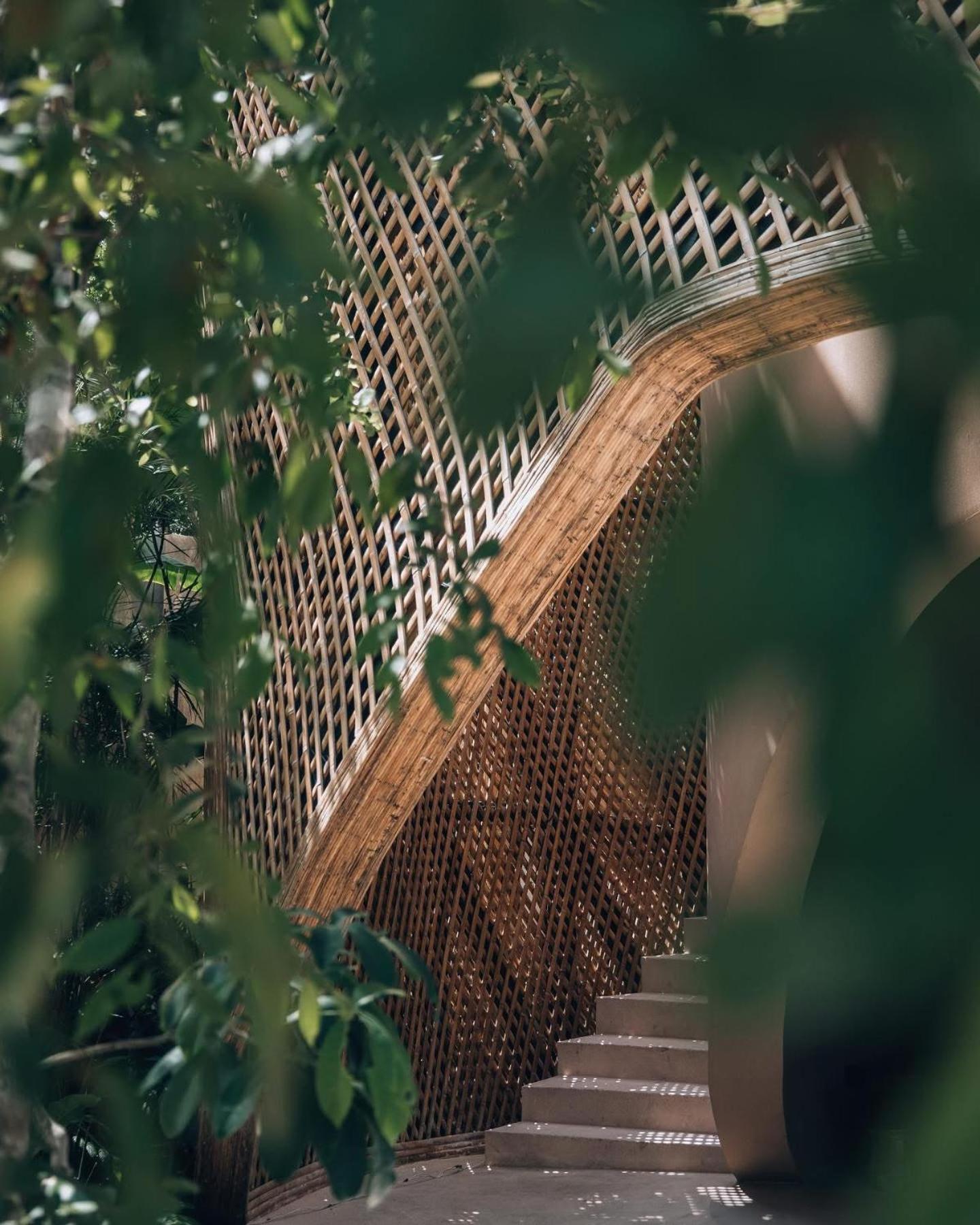 Jungle Loft Bike Included *