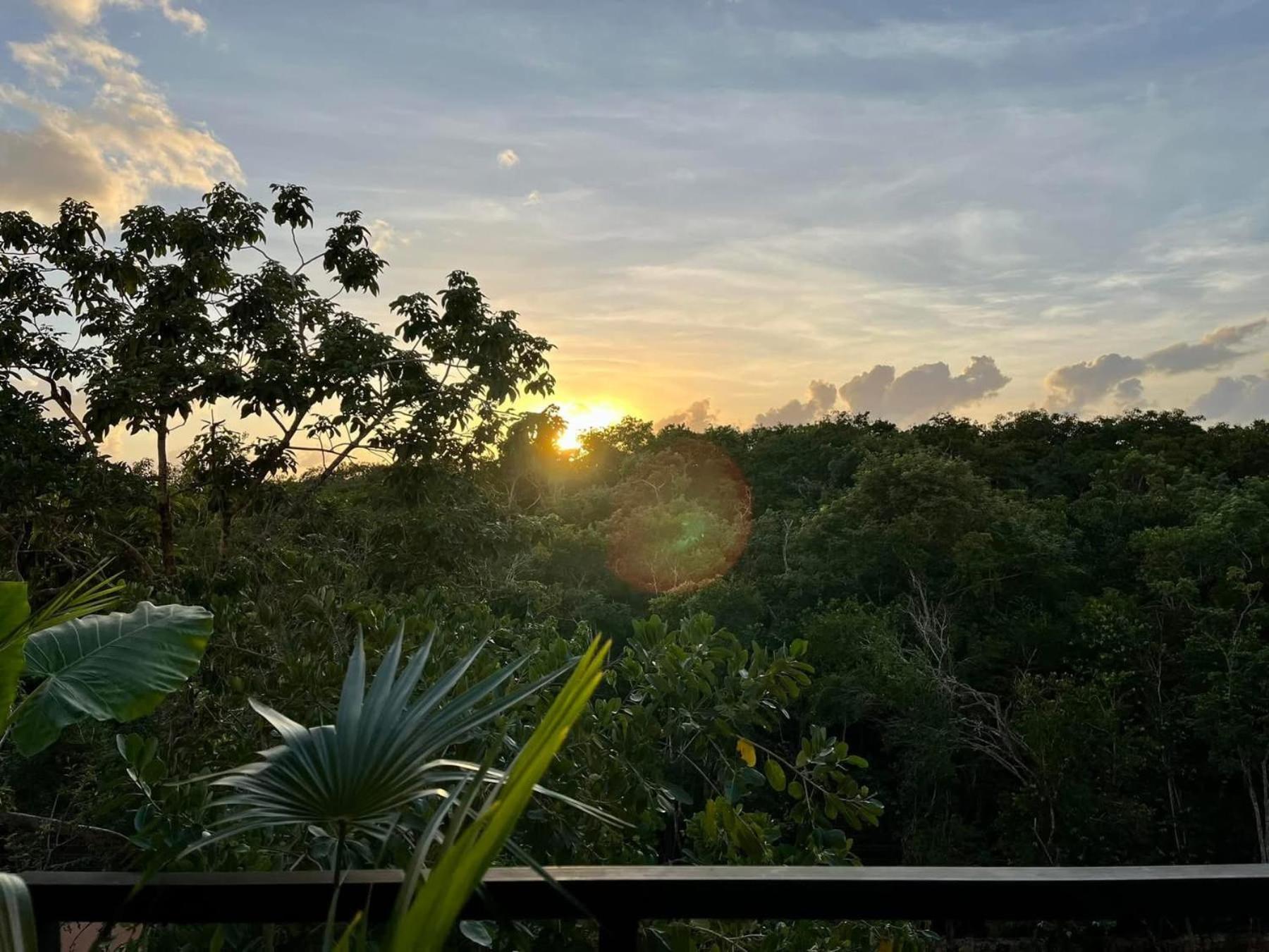 Jungle Loft Bike Included * Tulum